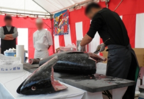 マグロ解体ショー